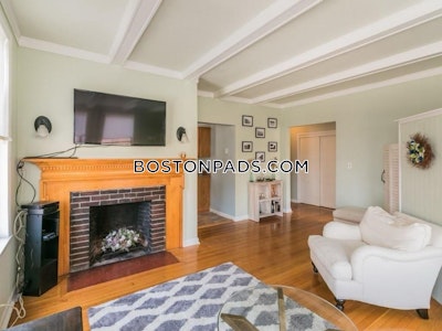 Brighton 1 Bed 1 Bath BOSTON Boston - $3,100 No Fee