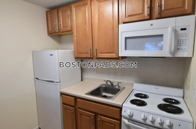 Cambridge Apartment for rent Studio 1 Bath  Mt. Auburn/brattle/ Fresh Pond - $2,100 No Fee