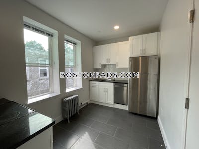 Brighton Apartment for rent 1 Bedroom 1 Bath Boston - $2,725 No Fee