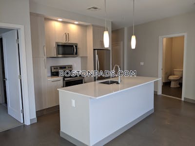 Jamaica Plain Apartment for rent 2 Bedrooms 2 Baths Boston - $3,810