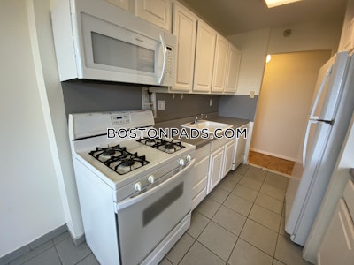 Brookline Apartment for rent 3 Bedrooms 1.5 Baths  Boston University - $5,300 No Fee