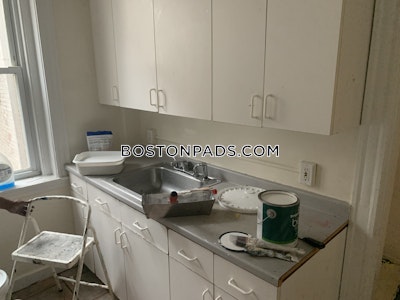 Allston Apartment for rent 1 Bedroom 1 Bath Boston - $2,500 No Fee