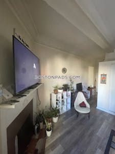 Chinatown Apartment for rent 1 Bedroom 1 Bath Boston - $3,150 No Fee