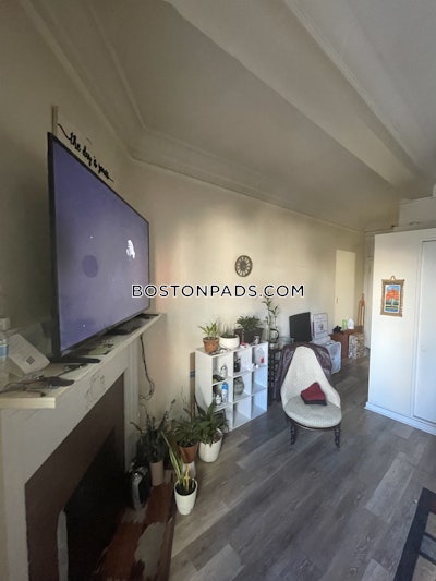 Chinatown Apartment for rent 1 Bedroom 1 Bath Boston - $3,150 No Fee